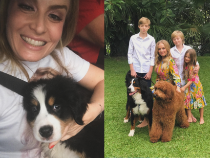 Angélica e Luciano Huck lamentam morte de cachorro da família: “Foi muito amado”
