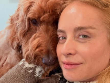 Angélica revela luta pela saúde de cachorra da família: “Vamos seguir juntos”