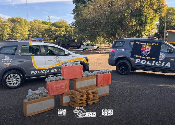 Operação Impacto apreende 249 kg de drogas em rodovia de Assis