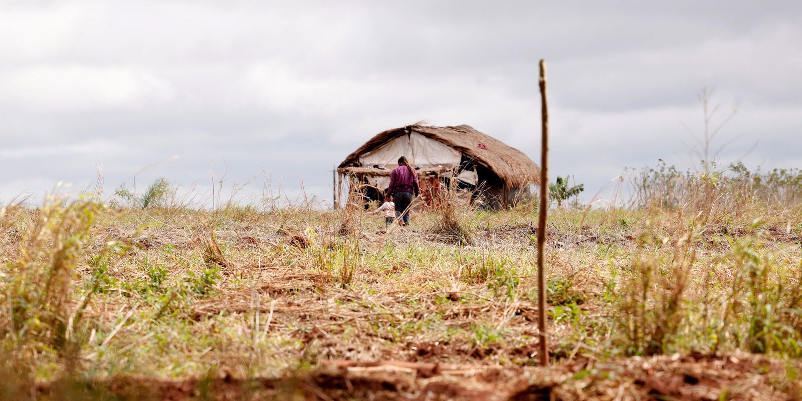 Queda nos assassinatos no campo contrasta com aumento de conflitos agrários