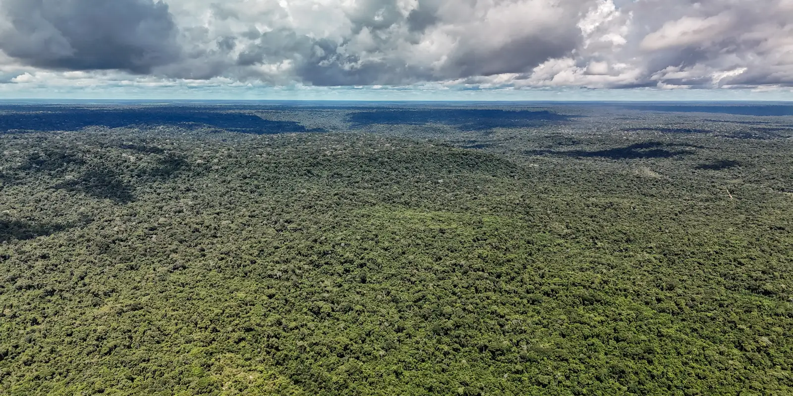 Fazenda autoriza US$ 1 bilhão em crédito do BID para o programa Eco Invest Brasil