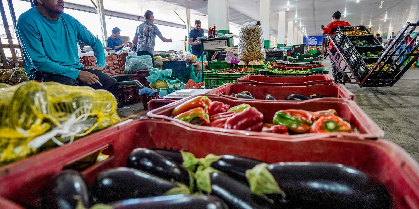 Nova campanha busca engajamento para reduzir desperdício de alimentos