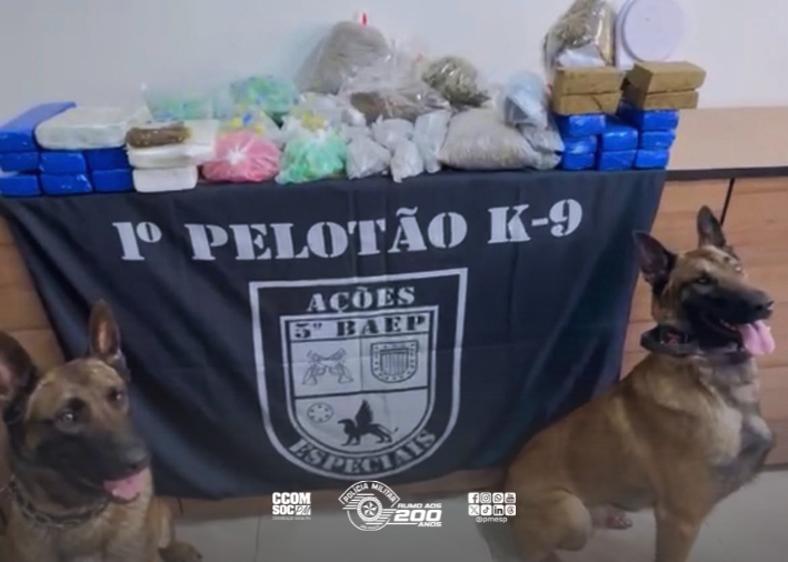 Cão farejador localiza mais de 25 kg de drogas em imóvel no Ipiranga, na zona sul de SP