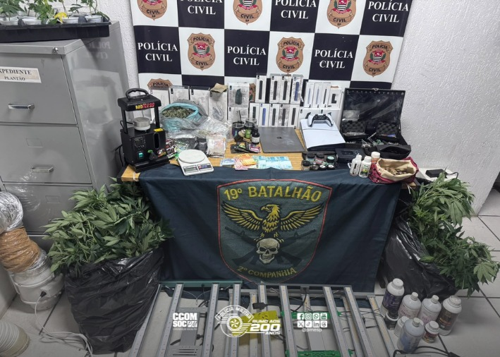 Estrutura para cultivo de cannabis é descoberta em residência na zona leste de São Paulo