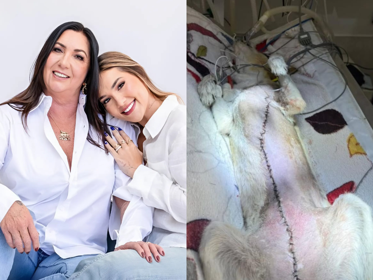 Morre Joly, cachorrinha de Virginia Fonseca e Margareth Serrão, aos 16 anos