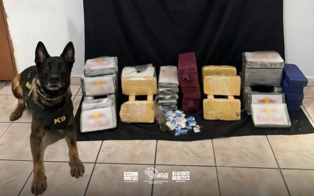 PM apreende 44 kg de drogas em apartamento da Zona Leste da Capital