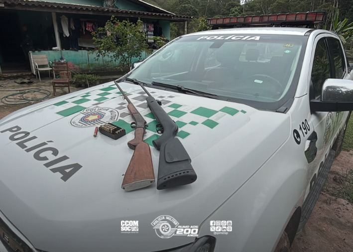 Polícia Ambiental apreende armas e identifica desmatamento de 637 árvores nativas em sítio