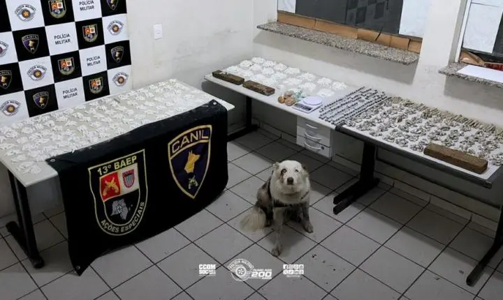 Operação do 13º BAEP resulta na apreensão de entorpecentes em comunidade