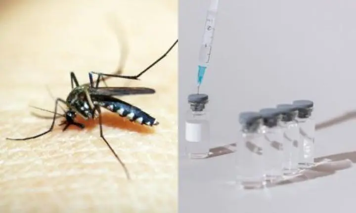 Alerta: Ministério da Saúde suspende vacina da dengue para investigar mortes