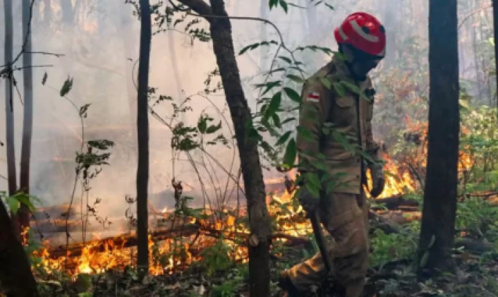 Amazonas em alerta! Incêndio se espalha e ameaça casas no interior do estado