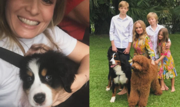 Angélica e Luciano Huck lamentam morte de cachorro da família: “Foi muito amado”
