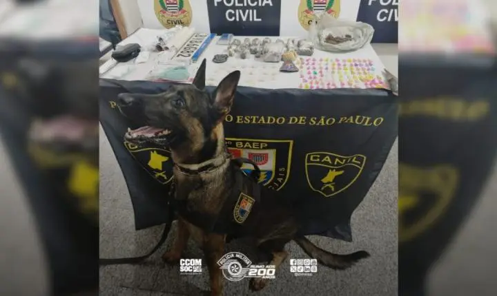 BAEP e Polícia Civil apreendem drogas em Valparaíso durante operação 