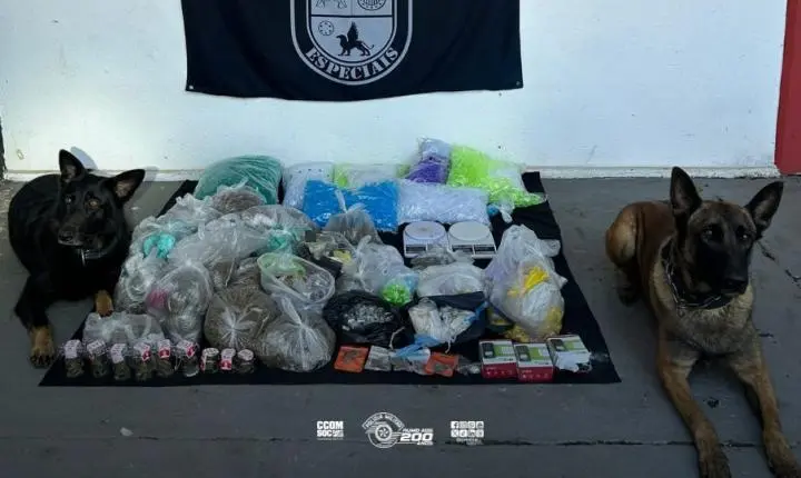 Cães do 5º BAEP localizam mais de 21 Kg de drogas durante operação na zona leste da Capital