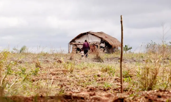 Queda nos assassinatos no campo contrasta com aumento de conflitos agrários