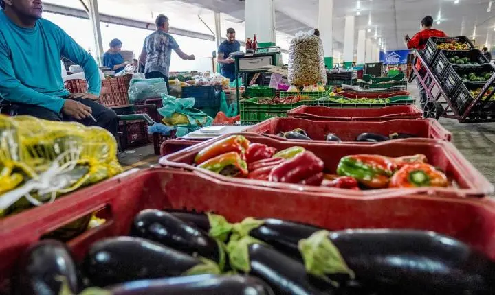Nova campanha busca engajamento para reduzir desperdício de alimentos