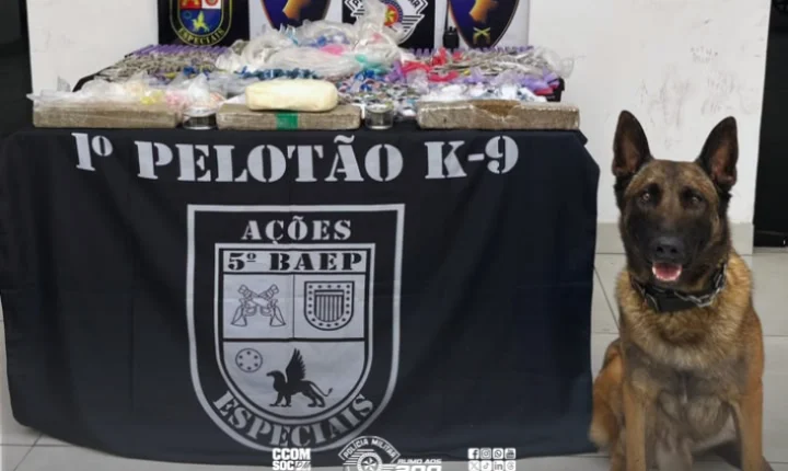 Cão farejador ajuda a localizar mais de 24 kg de drogas enterradas em Itapecerica da Serra