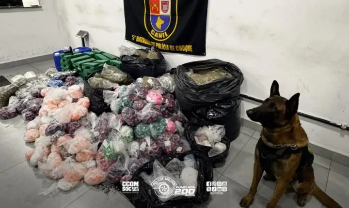 Cão farejador da Polícia Militar localiza quase 300 Kg de drogas em comunidade da Zona Sul