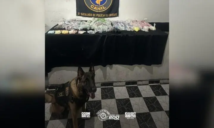 Cão farejador da PM auxilia na apreensão de mais de 7 kg de drogas na zona leste