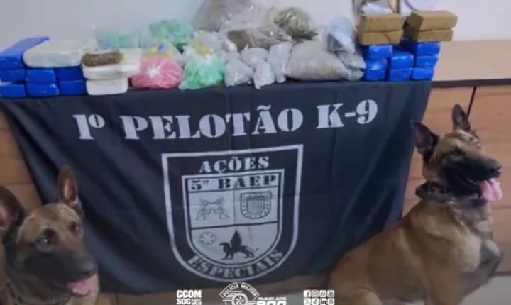 Cão farejador localiza mais de 25 kg de drogas em imóvel no Ipiranga, na zona sul de SP