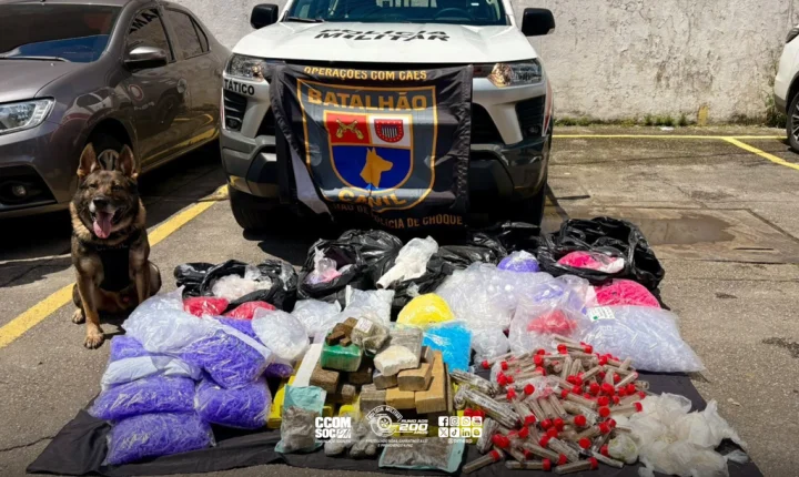 Cão Odin fareja 18,9 kg de maconha em local desabitado na Zona Leste de SP