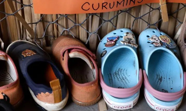 Apenas 17% das creches e pré-escolas públicas do Brasil possuem infraestrutura básica completa