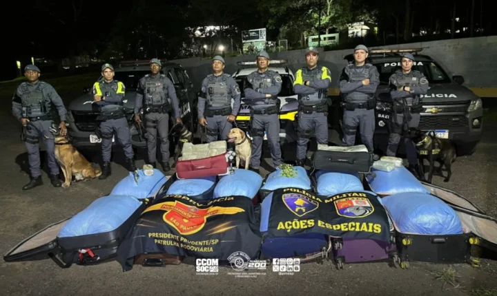 Com cães farejadores, PM apreende 323 kg de folhas de coca em ônibus em Presidente Prudente