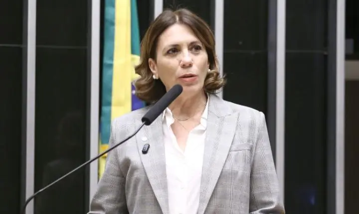 Câmara aprova internet gratuita para mensagens em voos