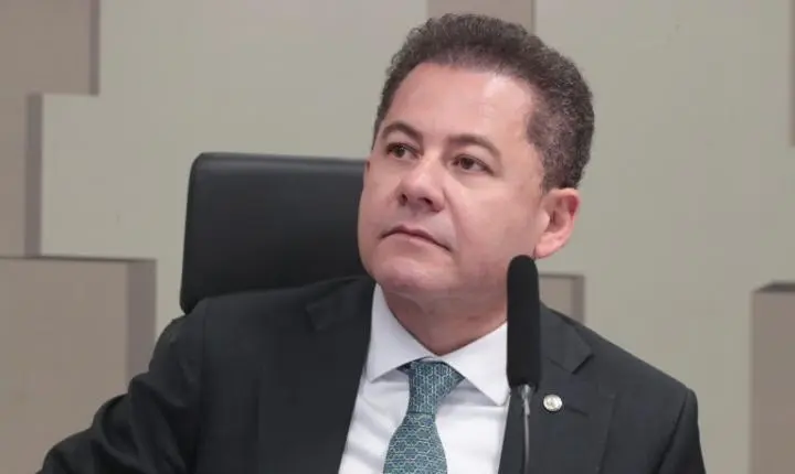 Câmara dos Deputados aprova selo Aeroporto Amigo do Pet para terminais com espaços para animais de estimação