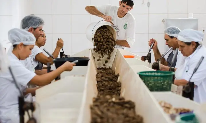 Consulta do Mdic sobre exportação de produtos sustentáveis encerra na quarta-feira