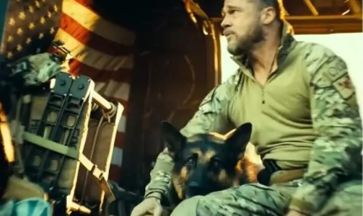 Crítica: Entre o silêncio e o afeto, Brad Pitt sustenta “Coração Selvagem” ao lado de um cão