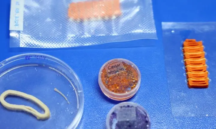 Embrapa desenvolve alimentos impressos de base vegetal que mimetizam salmão, caviar e lula