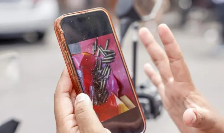 Escolas e universidades voltam ao expediente regular no Rio