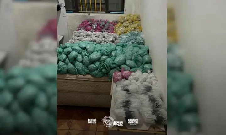 Polícia apreende mais de 220 quilos de maconha em residência na zona leste de São Paulo