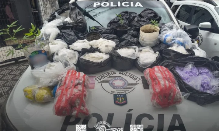 Mais de 46 kg de drogas são apreendidos em fundo falso no quintal de residência em Taubaté