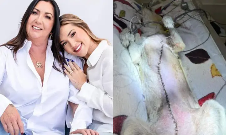 Morre Joly, cachorrinha de Virginia Fonseca e Margareth Serrão, aos 16 anos