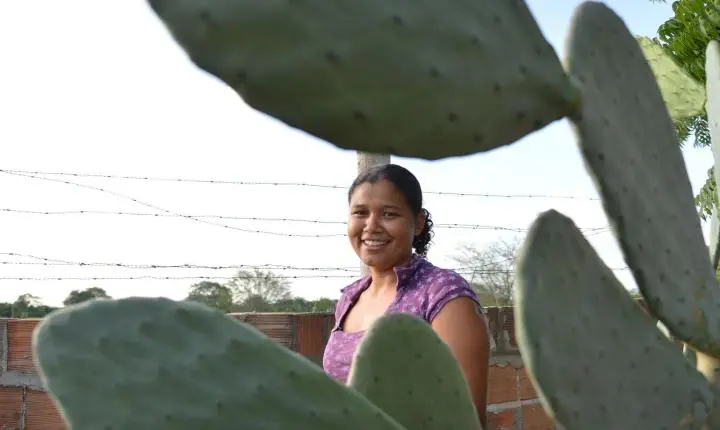 Mulheres ampliam liderança em propriedades rurais no agronegócio brasileiro, mas enfrentam desvalorização
