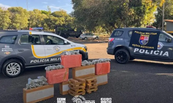 Operação Impacto apreende 249 kg de drogas em rodovia de Assis