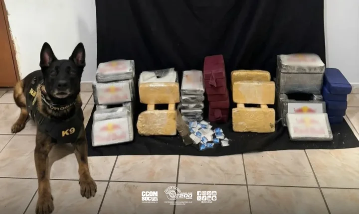 PM apreende 44 kg de drogas em apartamento da Zona Leste da Capital