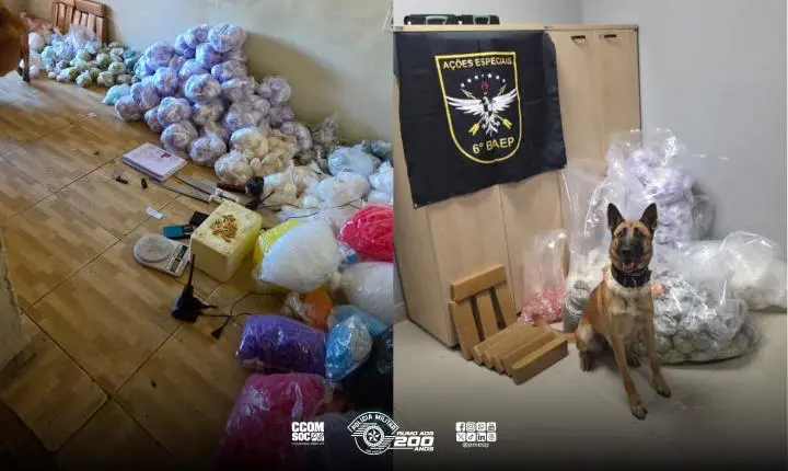 PM desarticula depósito de drogas e apreende dezenas de munições na Brasilândia