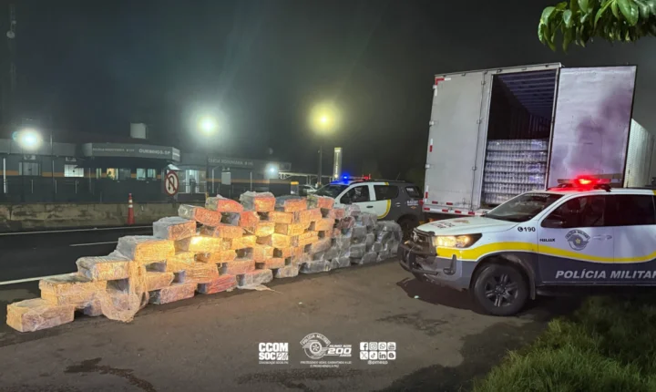 PM descobre 1,8 tonelada de maconha em fundo falso de caminhão em Salto Grande