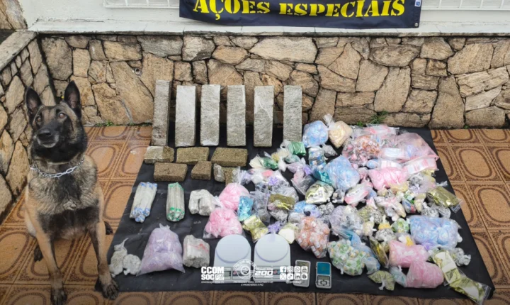 PM localiza 17 kg de drogas em frigobar durante Operação em Guarulhos