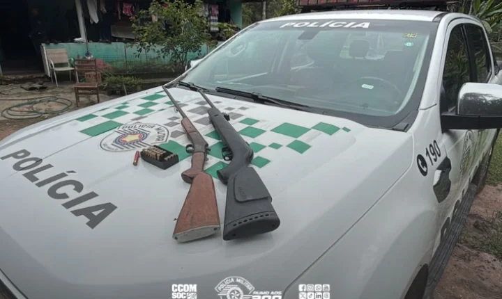 Polícia Ambiental apreende armas e identifica desmatamento de 637 árvores nativas em sítio