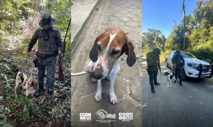 Polícia Militar Ambiental apreende arma e resgata cão durante ação contra caça ilegal em Iguape