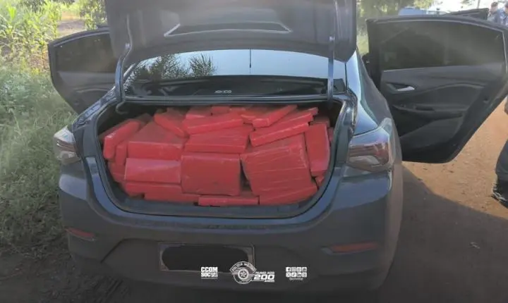 Polícia Militar apreende cerca de 700 quilos de maconha após acompanhamento na Rodovia Raposo Tavares