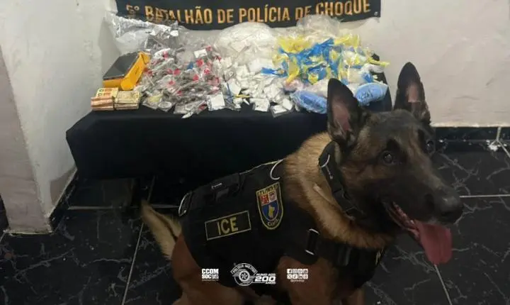 Polícia Militar confisca mais de 3 kg de entorpecentes em ação na zona sul de São Paulo