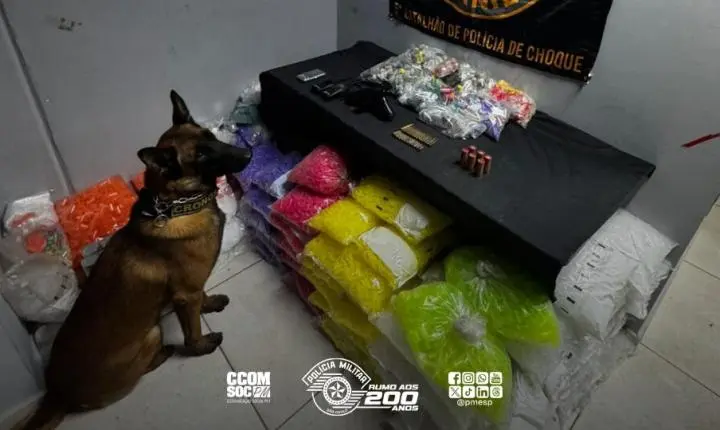 Polícia Militar apreende grande quantidade de drogas e munições na zona norte da capital