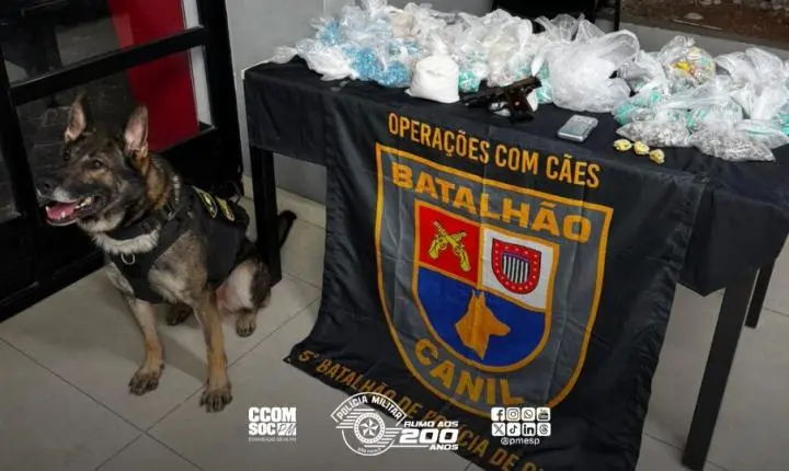 PM intercepta mais de 4,6 toneladas de drogas em ação na Comunidade da Barraca
