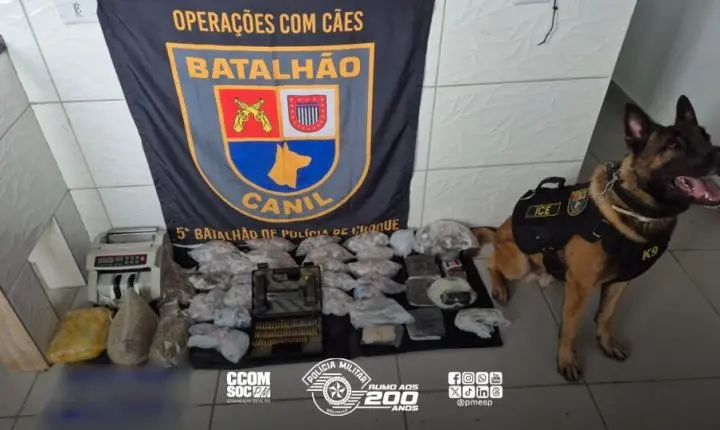 Polícia Militar confisca grande quantidade de drogas e munições em operação no Arapuá