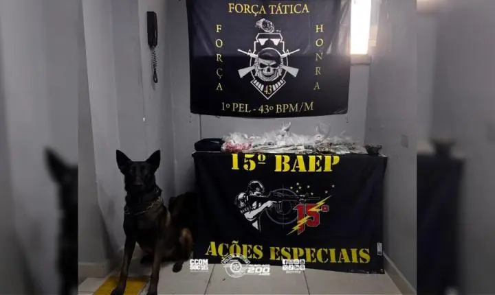 Polícia Militar localiza casa bomba e apreende mais de 1,8 mil porções de drogas na zona norte da capital