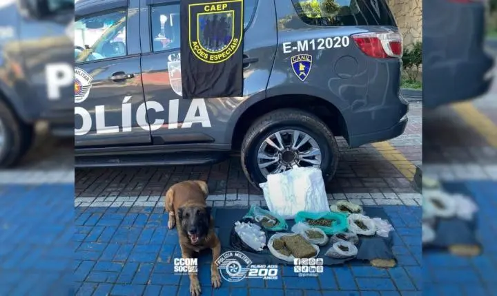 Polícia Militar localiza mais de 5 Kg de drogas em Ferraz de Vasconcelos